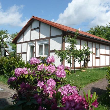 Ferienhaus Kogge Im Feriendorf Alt Bachenbrock Buitenkant foto